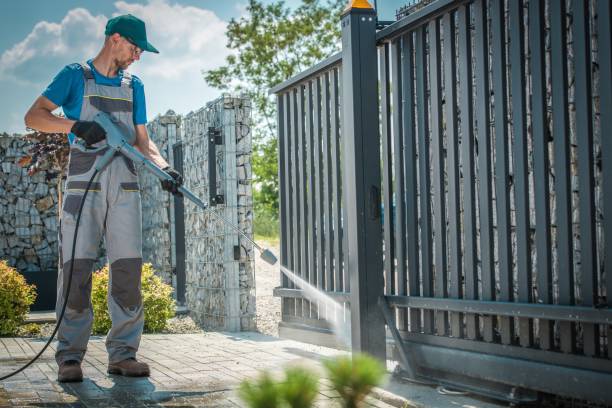 Best Rust Removal  in Lake Sarasota, FL