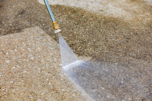 Best Sidewalk and Walkway Cleaning  in Lake Sarasota, FL
